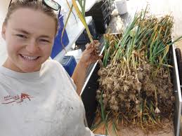 Advice for starting a market garden and cut flower farm in zone 5