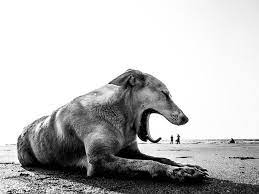 Pin On Great Photography Art
