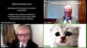 Judge ferguson used the mistake to warn anyone appearing before his court. I M Not A Cat Says Lawyer After Zoom Filter Mishap Reuters