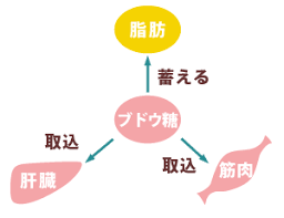 「ブドウ糖」の画像検索結果