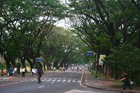 Yesterday at 6:31 am ·. 9 Top Reasons That Make Up Diliman A Family Friendly Weekend Destination Dad On The Move A Family Travel And Parenting Blog