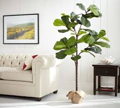 Made of polyester and plastic with wire stems. Faux Potted Fiddle Leaf Fig Trees Pottery Barn