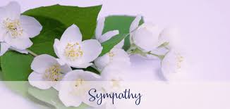 Set in blantyre, 800 metres from blantyre market, amaryllis hotel blantyre offers accommodation with a restaurant, free private parking, a fitness centre. Home Macblooms Blantyre South Lanarkshire