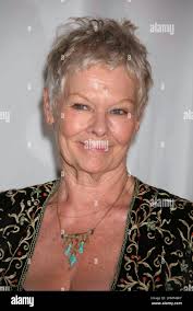 Weinstein co hi-res stock photography and images