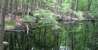 Hours may change under current circumstances Ward Pound Ridge Reservation Hiking Ny Trail Conference