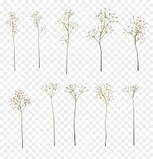 baby breath flower png png download baby breath flower png transparent png vhv baby breath flower png transparent png