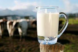 Orang pintar maunya cepat berhasil, padahal semua mencari supplier susu murni yang berkualitas bagus. Susu Segar Adalah Jenis Susu Terbaik Untuk Dikonsumsi Ini Alasannya Semua Halaman Intisari