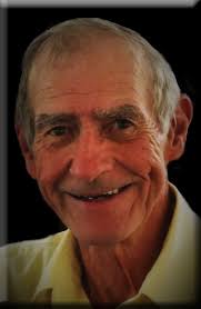 Contributions to the tribute of David Eric Gerrard Young