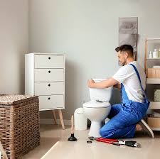 Why is my toilet gurgling? A Complete Guide On How To Unblock A Toilet Infographic