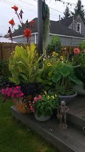 Thoughts from my stories