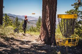 Image result for disc golf