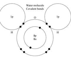 Before you discuss the formation of potassium chloride, calcium sulphide and magnesium during. Why Do Atoms Form Covalent Bonds Quizlet