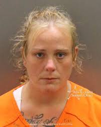 Kara Renee Fuller Age: 30 Arrest Date: Tue 8/3 Time: 9:34 PM Status:  ICharge Count: 3 Agency Severity Charge Statute Type Garden...