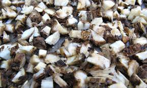 Limba aurei care conversez frunza verde de cicoare curvai curva pana. Cicoarea FrumuseÈ›ea AlbastrÄƒ È™i TÄƒmÄƒduitoare De La Marginea Drumului Paradis Verde