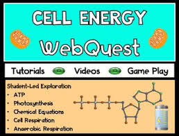 Cell Energy Webquest Respiration Photosynthesis Webquest Digital Printable Cell Respiration Photosynthesis Webquest