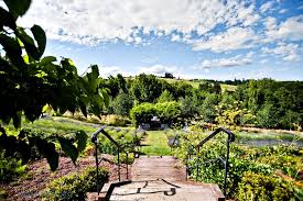 Red Ridge Farms An Oregon Wine Country Destination Wine Olive Oil Lavender And So Much More Definitel Farm Wedding Portland Weddings Oregon Wedding
