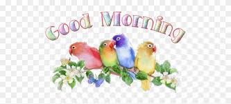 You can make the morning of your loved ones a little happier by giving them a little attention and sending the good morning gif. Good Morning Animation Images Bird Sound Effect Animated Love Birds Gif Free Transparent Png Clipart Images Download