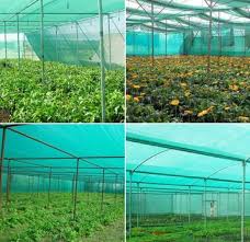 A handy tip for how you can create netting in your garden on a budget.visit our website for more great growing advice. Shade Net Gardening Advantages Ideas A Full Guide Gardening Tips