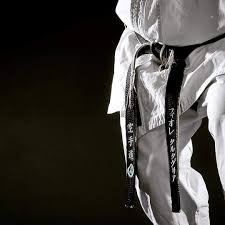 Pin By Paige Smith On Fallen Hero General Kyokushin Karate Shotokan Karate Shotokan