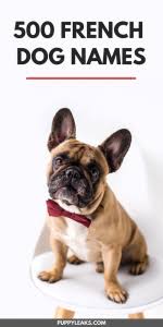 Creative ideas for american, english and french bulldogs based upon color, demeanor and style. 500 French Dog Names Puppy Leaks
