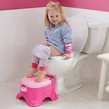 Fisher Price Stepstool Potty Pink Doll Clothes American Girl Potty Training Fun Cute Little Boys