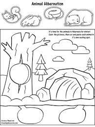 Pin On Lesson Plans Hibernation