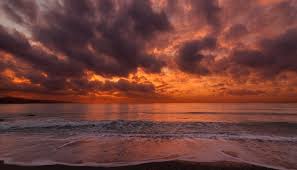 Best flower iphone 11 wallpaper. Wallpaper Weekends Sunsets Over The Water Wallpapers For Iphone