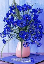 Oil painting by numbers flower packing include: Beautiful Flowers Beautiful Flowers Spring Flower Arrangements Diy Amazing Flowers