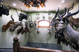 Descriptionbécsi vadászati kiállítás, 1910, magyar pavilon.jpg. Vadaszati Kiallitas Hunor Hotel Es Etterem Vasarosnameny