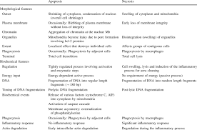 Search for info about lighting recessed. Typical Features Of Apoptosis And Necrosis Download Table
