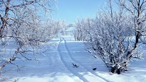 Follow the vibe and change your wallpaper every day! Winter Winter Mac Wallpaper 2560x1440 Wallpapertip