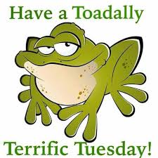 Then you are at the right place. 100 Funny Tuesday Memes Pictures Images For Motivation In 2021 Happy Tuesday Quotes Tuesday Quotes Good Morning Tuesday Humor
