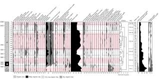 Image result for Swertia usambarensis