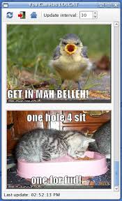 Image result for lolcats