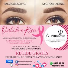 Microblading-Anna