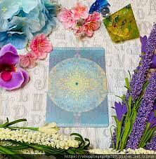 占卜 開箱 the spirit animal oracle cards 靈性動物神諭卡 英文原版 推坑者們 痞客邦 in 2021 oracle cards cards spirit animal