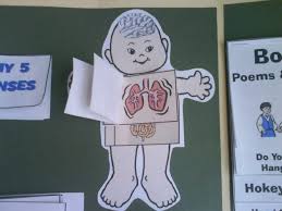 Good Lapbook Ideas The Pre K Human Body Is A Must Die Miss B El Cuerpo Humano Infantil Cuerpo Humano Para Ninos Actividades Del Cuerpo Humano