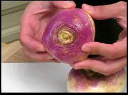 Maybe you would like to learn more about one of these? Cooking Tips How To Pick Turnips Youtube