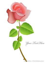 Rose Flower Vector Flowers Flower Art Rose Flower