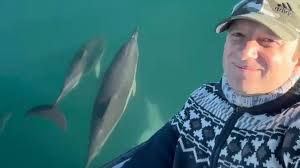 Rize'de balık tutmaya denize açılan balıkçıya yunus balıkları eşlik etti