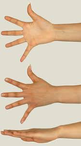 Hand Ref By Athey On Deviantart The finger tips came out a little rough though the 3d scanned hand model is relatively accurate, these were the measurements i took down physically with a tape measure for reference. hand ref by athey on deviantart