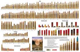 ballistics cartridge ammunition components 2 bullet