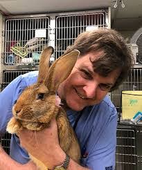 Michael Herko's Instagram, Twitter & Facebook