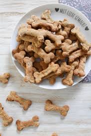 Es muss nicht immer fertigfutter sein: Gesunde Hundeleckerlis Mit Banane Und Karotten Heavenlynn Healthy