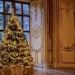 Christmas Open House at Harlaxton Manor event image