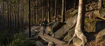 Perhaps the trail was originally laid out to cross a stream several times 10 Things To Consider If You Want To Build A Prosperous Trail Centre We Love Cycling Magazine