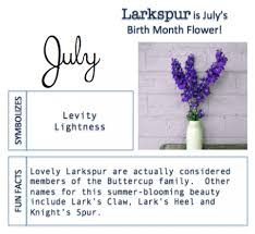17 Reasons Why People Love Meaning Of Birth Month Flowers Meaning Of Birth Month Flowers Https Ift Tt 2uqoyte Birth Month Flowers Month Flowers Birth Month