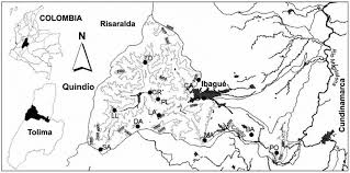 Tolĭma — tolĭma, departement der südamerikan. Cuenca Del Rio Coello Departamento De Tolima Colombia Con Las Download Scientific Diagram