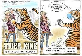 9 september at 12:44 ·. Profession Designingzoos Com Felis Consulting