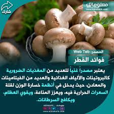 فوائد الفطر Vegetables Stuffed Mushrooms Food